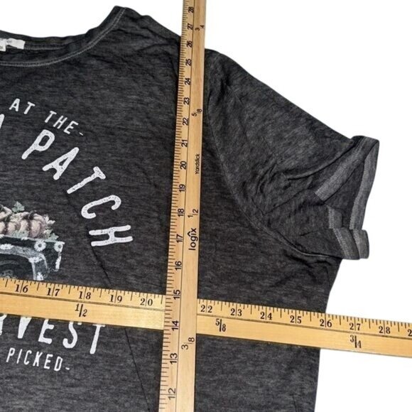 Maurices 3X Gray Pumpkin Patch Graphic Tee Autumn Harvest Cotton/Polyester Blend - Picture 5 of 6